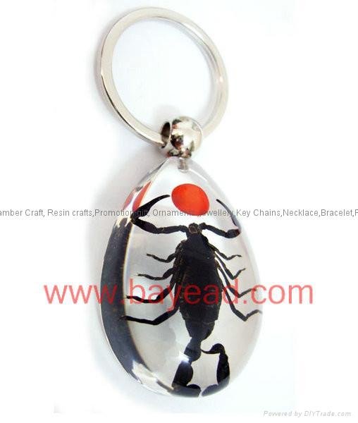 Scorpion insect amber keychains promotion gifts priemium gift 3