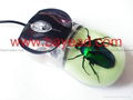 Real Scorpion Amber USB 3D Optical Computer Mouse Insect  Amber  2