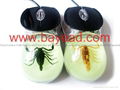 Real Scorpion Amber USB 3D Optical Computer Mouse Insect  Amber  3