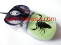 Real Scorpion Amber USB 3D Optical Computer Mouse Insect  Amber  4