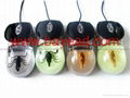 Real Scorpion Amber USB 3D Optical Computer Mouse Insect  Amber  5