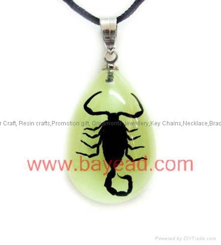 Real Insect Amber Necklace Fashional Jewelry for Valentines Gift