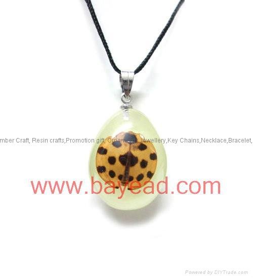 Real Insect Amber Necklace Fashional Jewelry for Valentines Gift 2