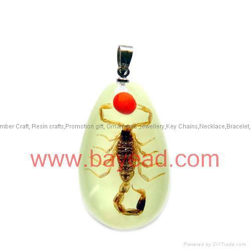 Real Insect Amber Necklace Fashional Jewelry for Valentines Gift 3