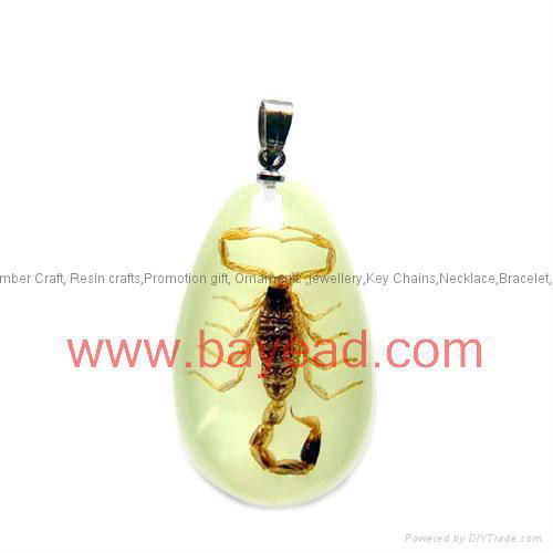 Real Insect Amber Necklace Fashional Jewelry for Valentines Gift 4