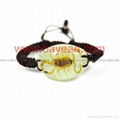 Real Insect Amber Bracelet novel Fashional Jewelry 2