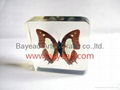 Real Butterfly Inside Acrylic Resin