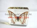 Real Butterfly Inside Acrylic Resin Specimen 2