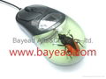 高質量昆虫琥珀光電鼠標 USB琥珀光電鼠標 2