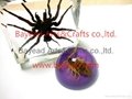 Real Scorpion insect amber Paperweights resin crafts business gift 2