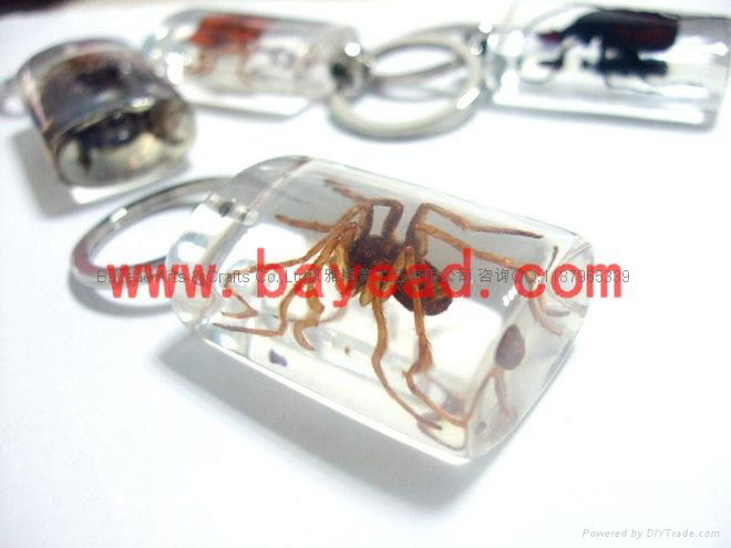 real insect Lucite amber keychains