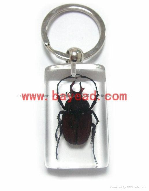 real insect Lucite amber keychains 2