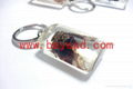 real insect Lucite amber keychains 3