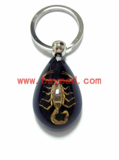 Scorpion insect amber keychains promotion gifts priemium gift 4