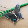 Real Butterfly in Resin Necklace Jewelry 2