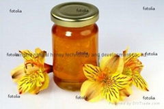 sweet multiflower honey