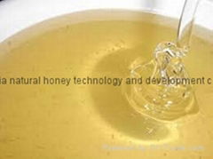 sweet pure raw white honey in bulk sale