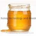 nartual pure raw bulk wildflower honey 1