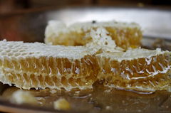 organic acacia honey