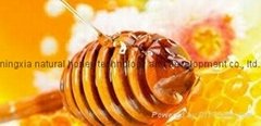 100% natural sweet honey