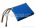 60V 16S1P 2900mAh lithium ion battery pack for electric unicycle