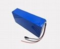 OEM Lithium ion Battery Pack 2
