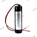 1S Li ion 18650 Battery Pack 3.7V 2000mAh 3350mAh 1S1P 2