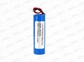 Li ion 21700 Battery Pack 5000mAh 1S1P batteries 50E 50G