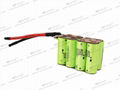 4S2P Lithium Werks A123 26650 Battery