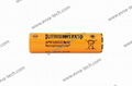 2S1P A123 18650 6.6V 1100mAh 30A Battery pack for RC Hobbies 9