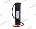 3S7P 18650 21700 103450 11.1V LiFePO4 Li-Ion OEM Battery pack for e-boat