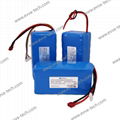 3S8P 18650 21700 103450 11.1V LiFePO4 Li-Ion OEM Battery pack for Dive light 1