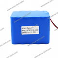 4S5P 18650 21700 26650 103450 14.8V 12.8V LiFePO4 Li-Ion OEM Battery pack