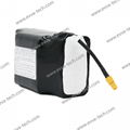 10S2P 18650 21700 103450 33V 37V LiFePO4 Li-Ion OEM Battery pack