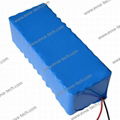 13S10P 13S8P 18650 21700 32700 48V LiFePO4 Li-Ion OEM Battery pack for LEV UPS 1