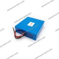 18S1P 18S10P 18650 21700 32700 66V LiFePO4 Li-Ion OEM Battery pack 5