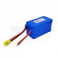 6S3P 21700 21.6V LiFePO4 Li-Ion OEM