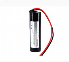 1S1P Protected 18650 Li-ion Battery Pack Wire Out 3.7V 3400mAh