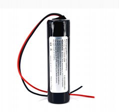 1S1P Li-ion 18650 Rechargeable Battery Pack with PCM Wires Out 3.7V 3000mAh