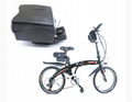 Frog Type 24V 36V 48V Electric Bike