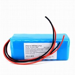 48V LOW TEMPERATURE Batteries for Electric Bike 18650 13S3P 10Ah 