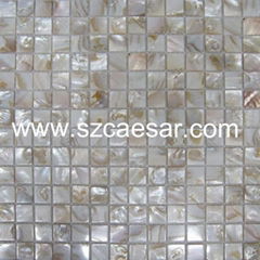 Shell Mosaic