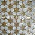Shell Tile