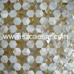 Shell Tile