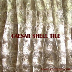 shell tile