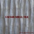 shell tile