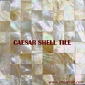 MOP shell tile 1