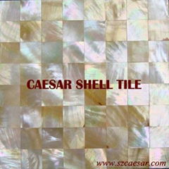 MOP shell tile