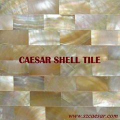 shell mosaic tile