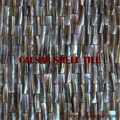 shell mosaic tile